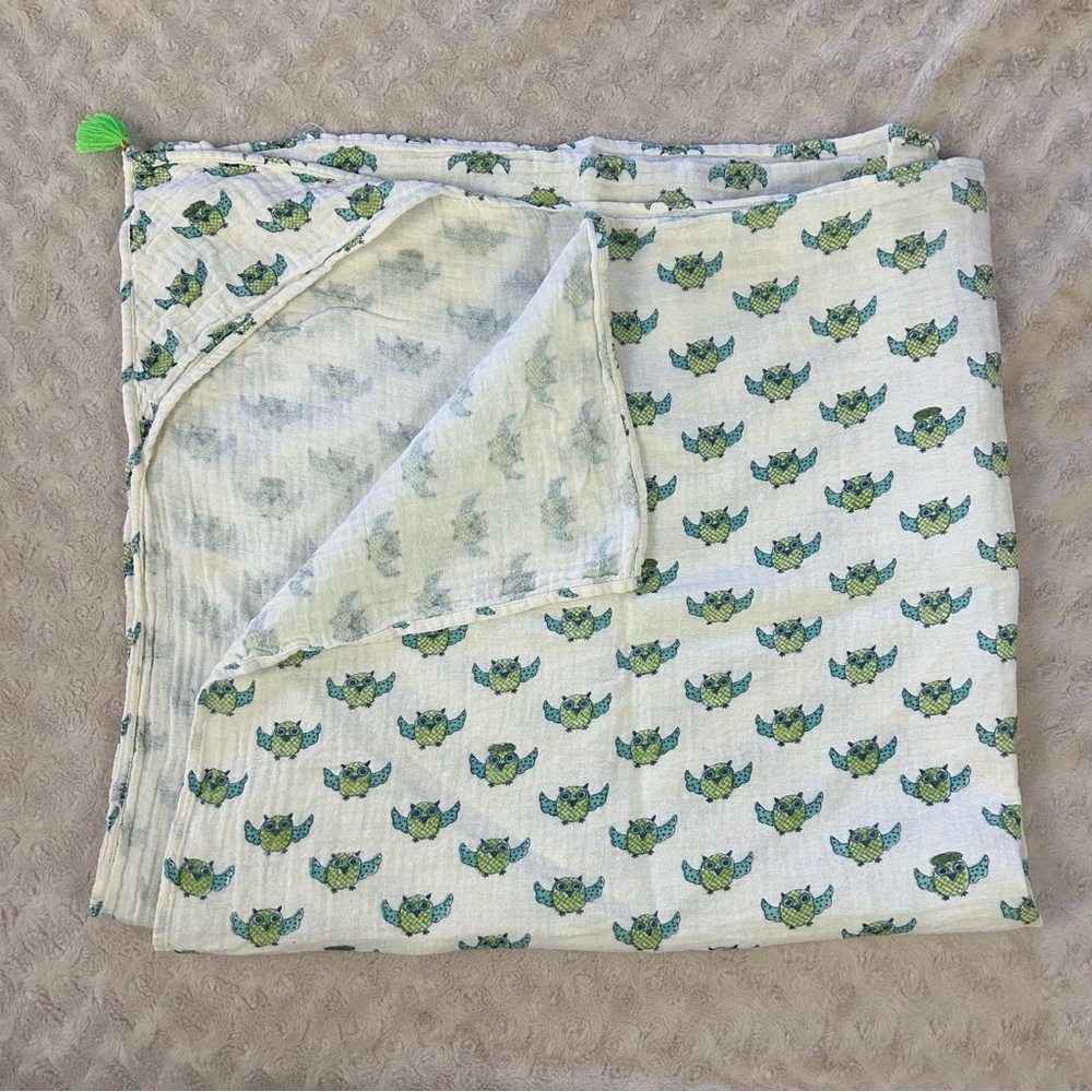 Almirah Owls Hooded Baby Swaddle Blanket Cream Off White Blue Green Tassel